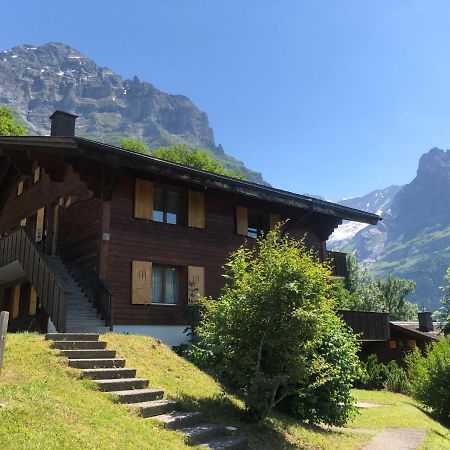 Apartment Chalet Sunneblick By Interhome กรินเดลวัลด์ ภายนอก รูปภาพ