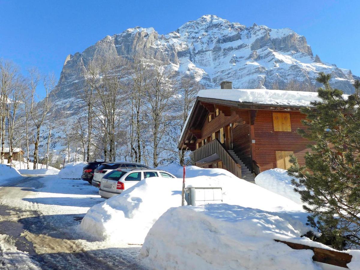Apartment Chalet Sunneblick By Interhome กรินเดลวัลด์ ภายนอก รูปภาพ